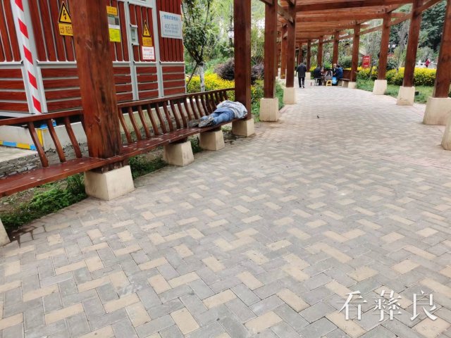 6.10月19日，滨河公园市民躺卧公共座椅.jpg