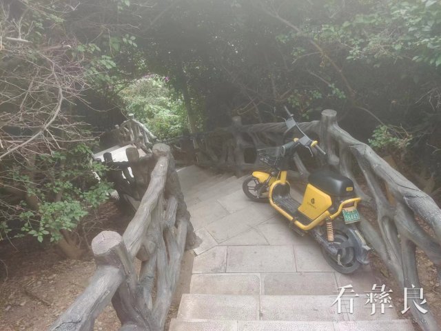 9.10月24日，市民随意将共享单车丢弃渔湖大道梯步.jpg