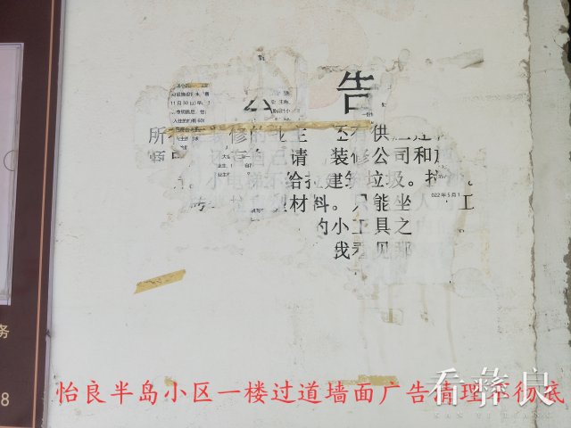 6.11月15日，怡良半岛小区一楼过道墙面广告清理不彻底.jpg