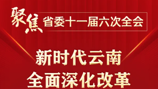 一图速览中共云南省委贯彻落实《中共中央关于进一步全面深化改革、推进中国式现代化的决定》的意见